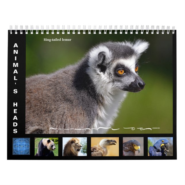 Animal's heads calendar 2025 (Cover)
