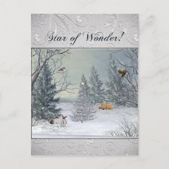 Animals in the Winter Forest, Tree with Star, Star Postcard (Front)