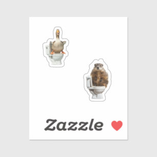 animals in toilets