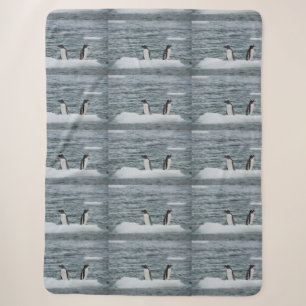 Animals Marine Animal Dive Cosy Destiny Destiny's Sherpa Blanket