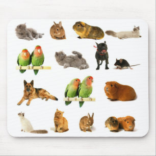 animals mouse mat