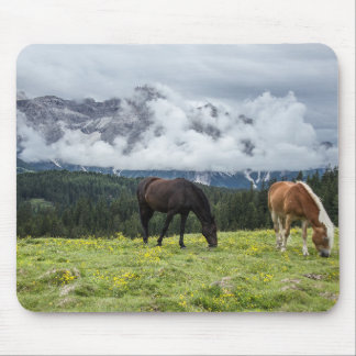 Animals Mouse Mat