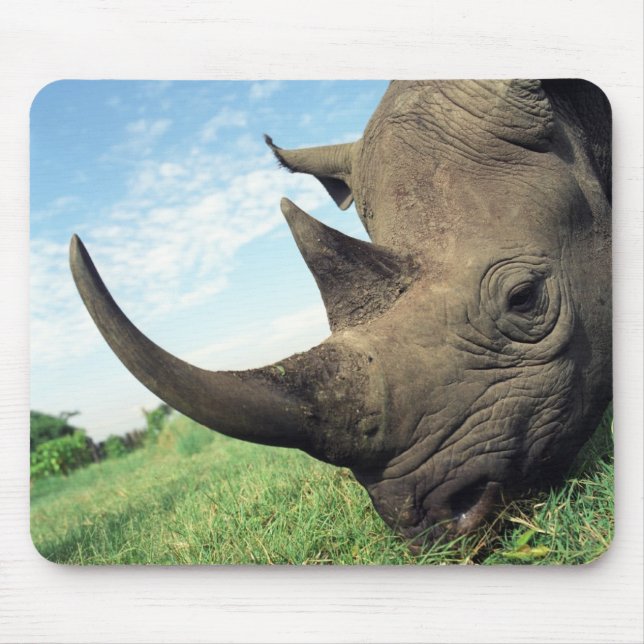 Animals Mousepad 104 (Front)