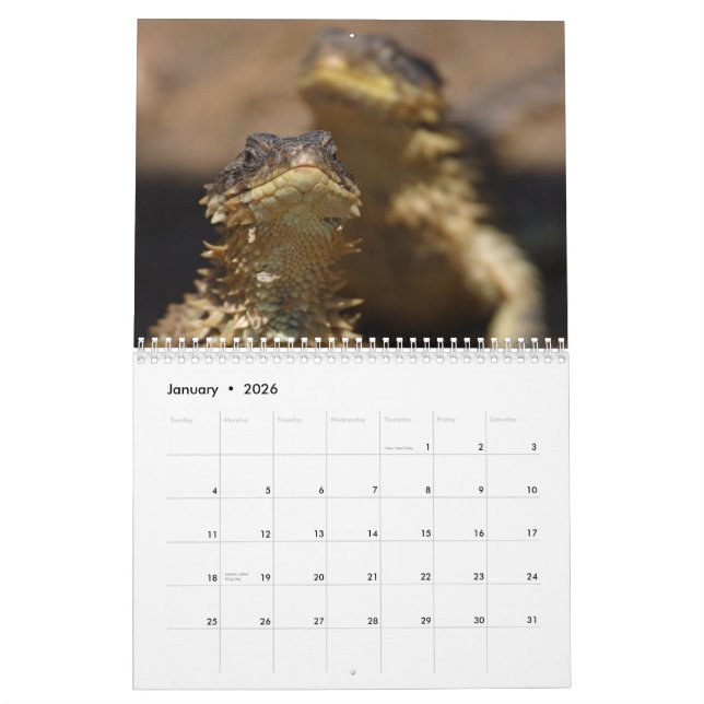 Animals & Nature Calendar (Jan 2026)