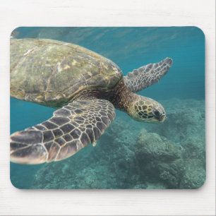 animals, nature, turtle mouse mat