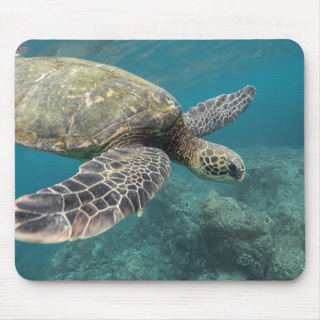 animals, nature, turtle mouse mat (Front)