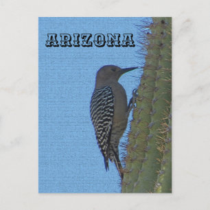 Animals of Arizona Gila Woodpecker on Tall Cactus Postcard