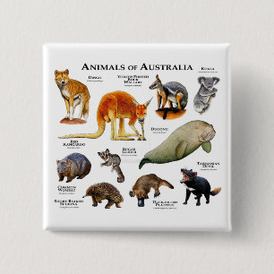 Animals of Australia 15 Cm Square Badge