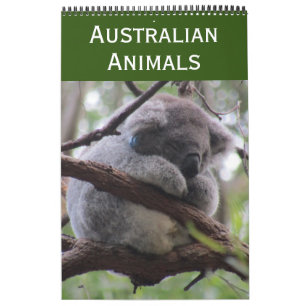 animals of australia 2026 calendar