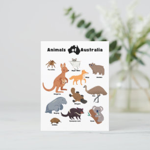 Animals of Australia Aussie Wildlife Postcard