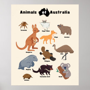 Animals of Australia Aussie Wildlife Poster