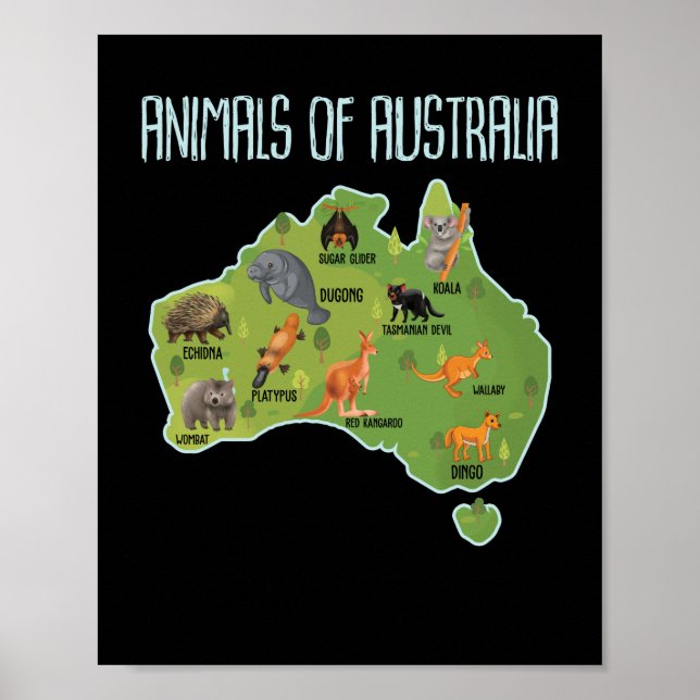 Animals Of Australia Australian Animal Educational Poster (Front)