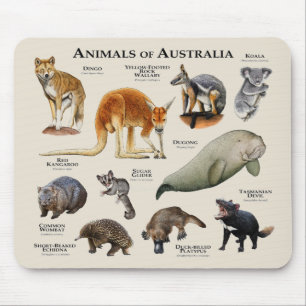 Animals of Australia Mouse Mat