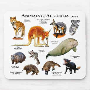 Animals of Australia Mouse Mat