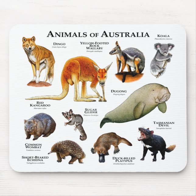 Animals of Australia Mouse Mat (Front)