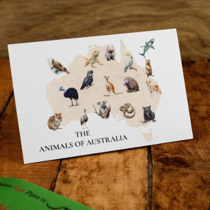 Animals of Australia   Postcard