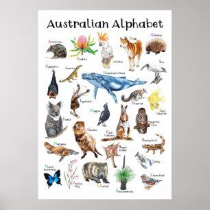Animals of Australia Poster