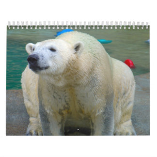 Animals of Brookfield Zoo Calendar