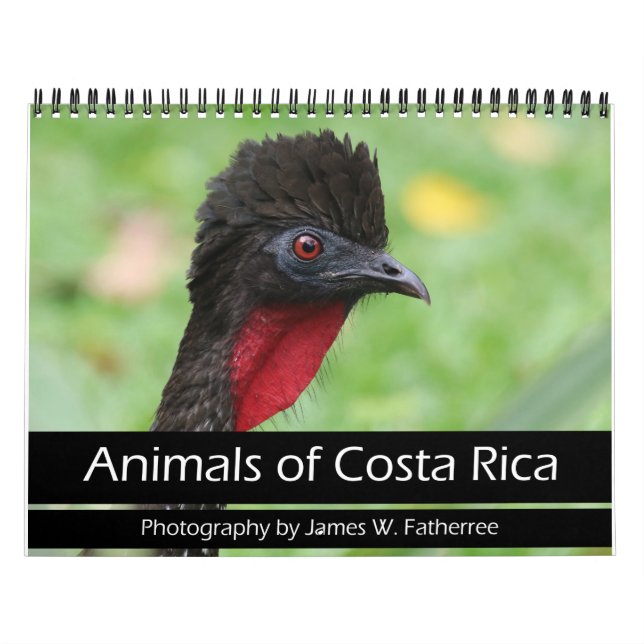Animals of Costa Rica Calendar (Cover)