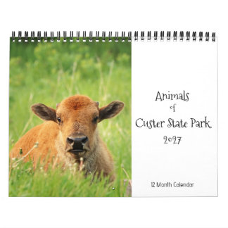 Animals of Custer State Park 2027 Calendar