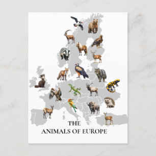 Animals of Europe European Postcard