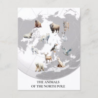 Animals of North Pole Arctic