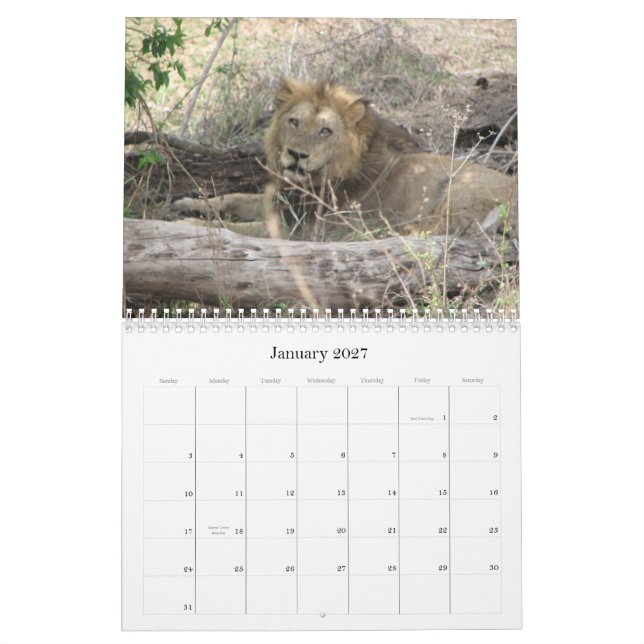 Animals of South Africa Calendar (Jan 2027)