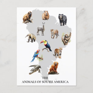  Animals of South America Wildlife  Postcard