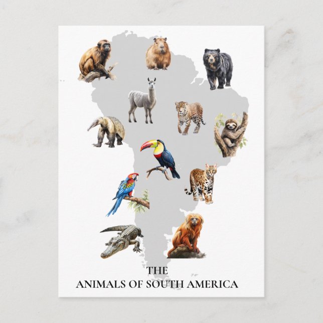  Animals of South America Wildlife  Postcard (Front)