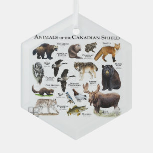 "Animals of the Canadian Shield." Glass Tree Decoration