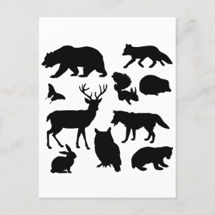 Animals Of The Forest, Wildlife Postcard