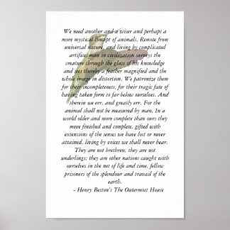 Animals of The Outermost House Poster