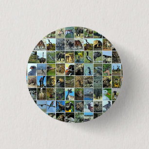 Animals of the world 3 cm round badge