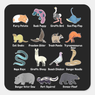 Animals Of The World - Rare Exotic Animals Funny M Square Sticker