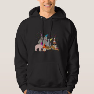 Animals Partying - Cute Animals Having a Party Hoodie