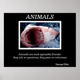 Animals  Posters 28