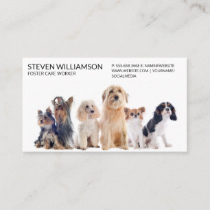 Animals Sitting in Group Business Card