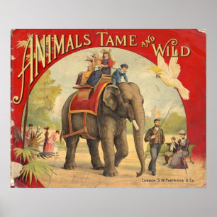 Animals Tame & Wild Vintage Circus Poster