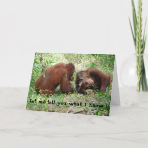 Animals Telling Age Secrets Birthday Card