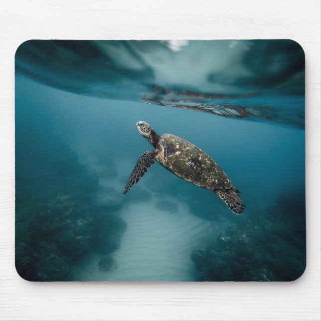 Animals, turtles, water mouse mat (Front)