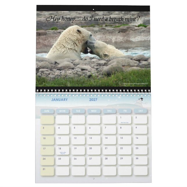 Animals with attitude calendar (Jan 2027)