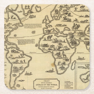 Animals World Square Paper Coaster