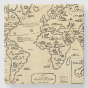 Animals World Stone Coaster