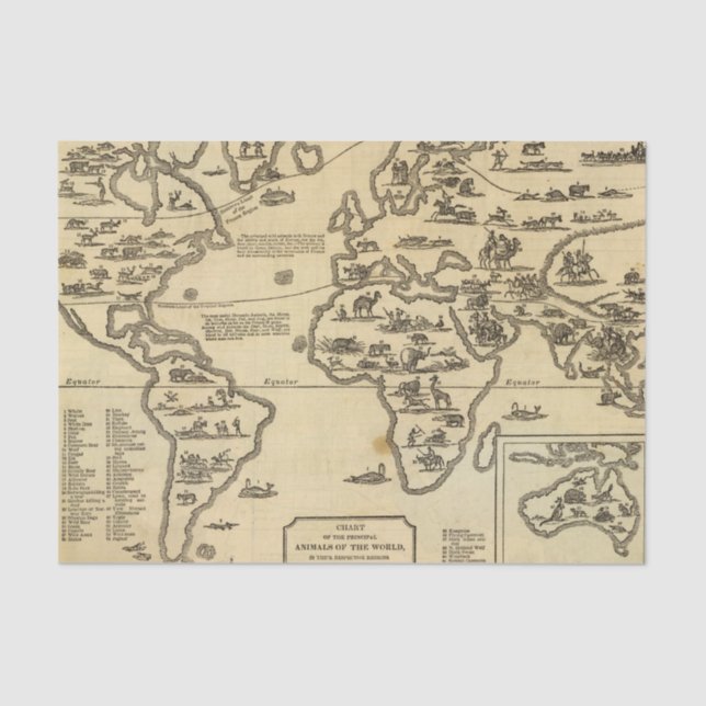 Animals World Tissue Paper (Front)