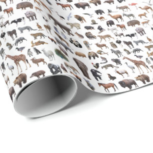 Animals Wrapping Paper