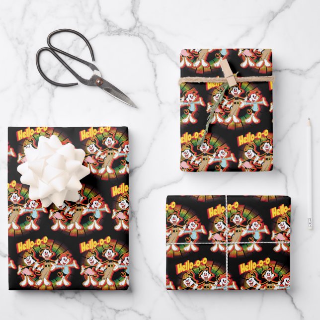 Animaniacs | Hello-o-o Retro Equalizer Graphic Wrapping Paper Sheet (Front)