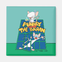 Animaniacs | Pinky and The Brain Cage Graphic