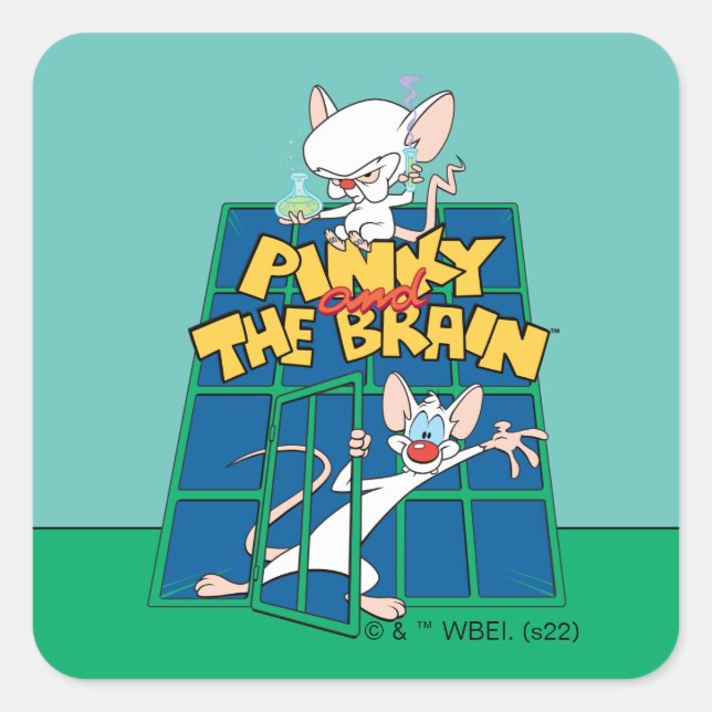 Animaniacs | Pinky and The Brain Cage Graphic Square Sticker (Front)
