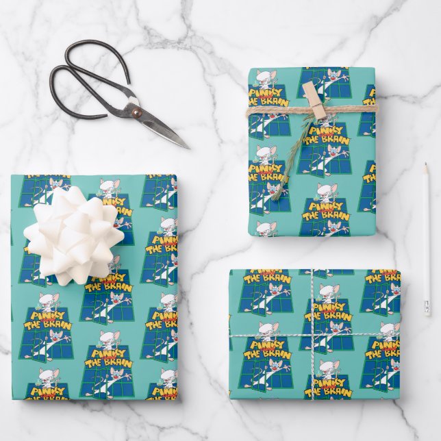 Animaniacs | Pinky and The Brain Cage Graphic Wrapping Paper Sheet (Front)