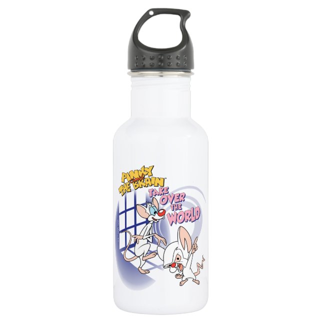 Animaniacs | Take Over The World Graphic 532 Ml Water Bottle (Front)